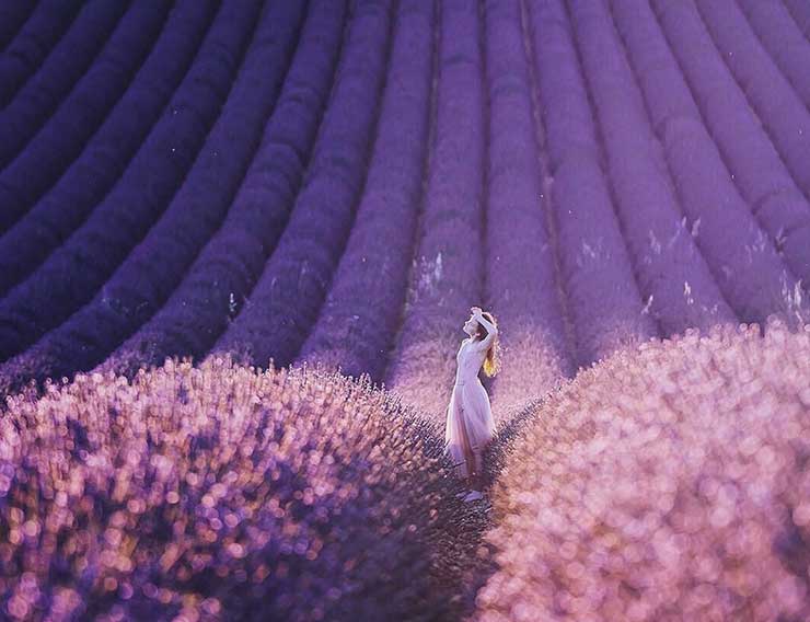 Magic Blooms